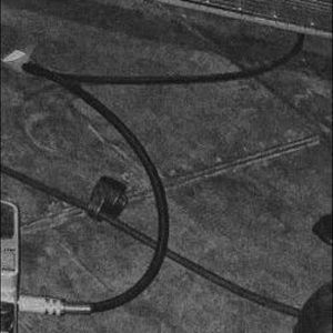 Meet your Posher, Bebe